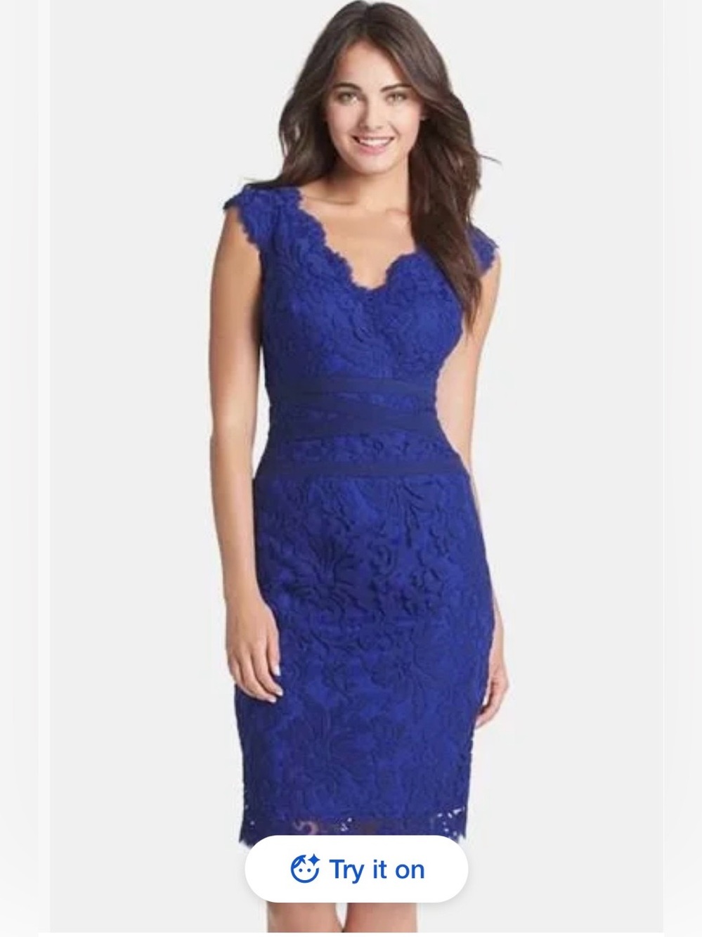 Tadashi Shoji Women's Embroidered Lace Sheath Dress, Size 6